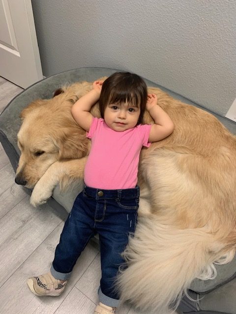 Pediatric patient relaxing with therapy dog - Goose