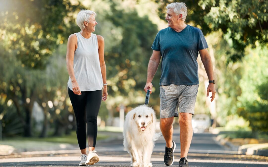 Adults walking with golden retriever