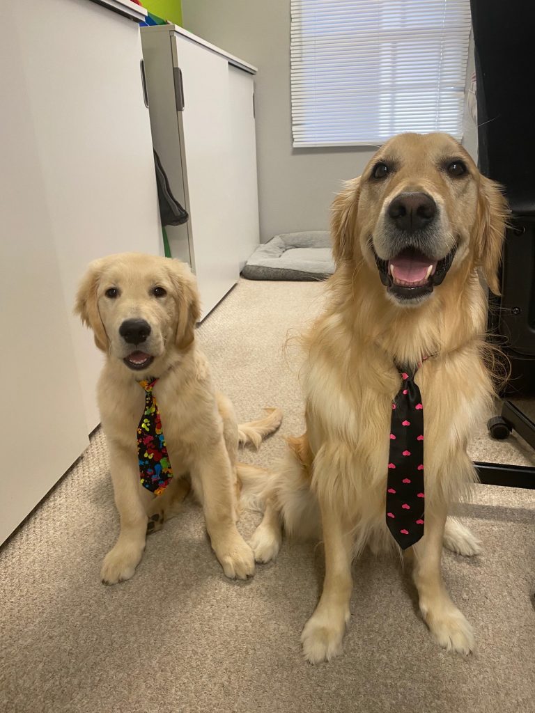 Cooper and Baby Goose